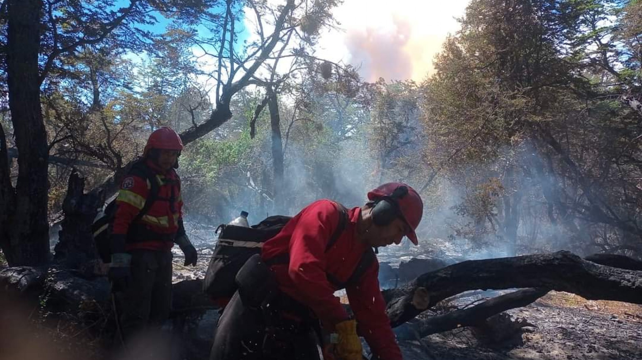 "No podemos seguir así" afirmó Paulo Rosales, cuarta generación de pobladores del Parque Nacional Los Alerces