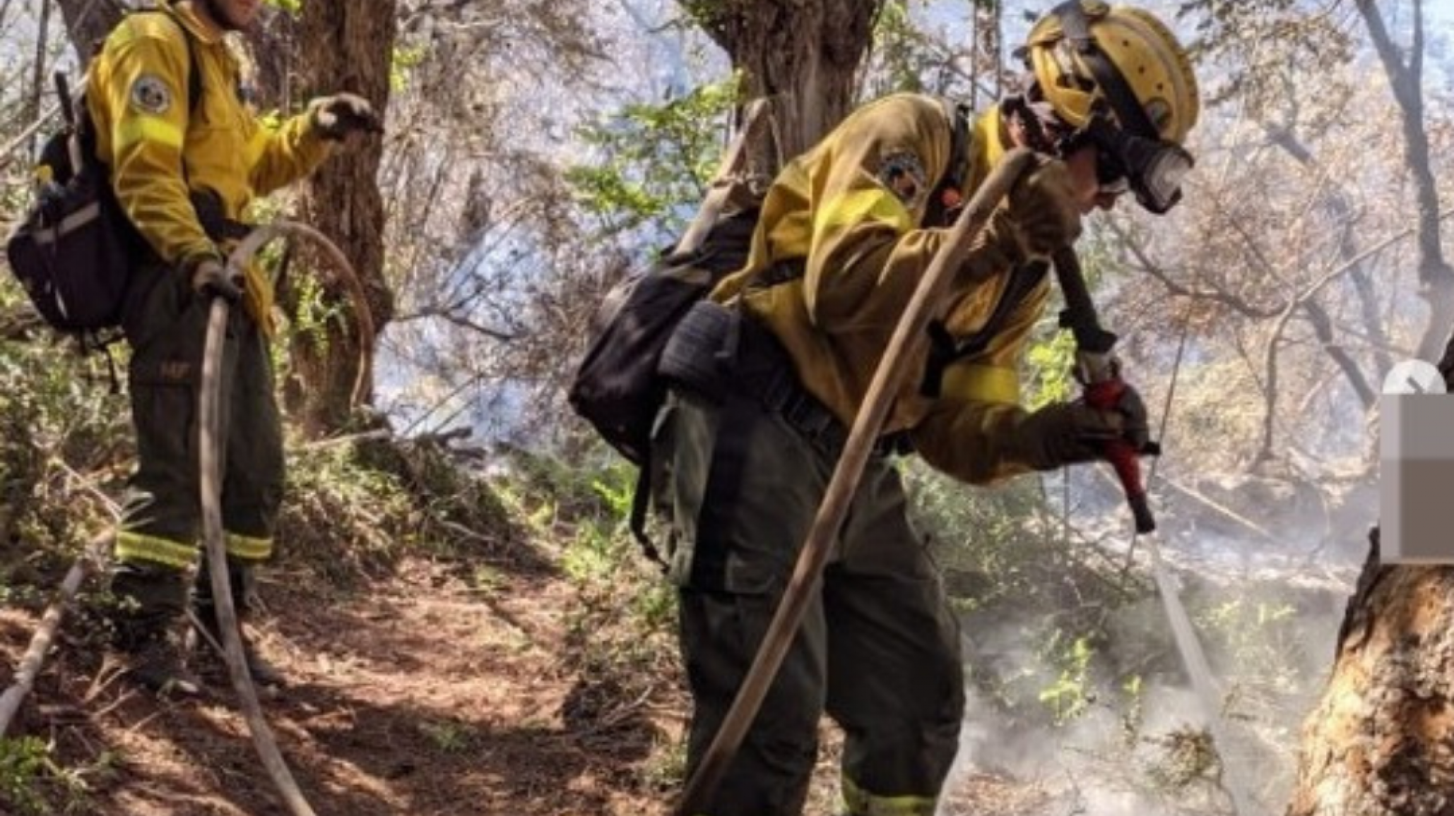 Trabajadores de la salud piden ayuda para brigadistas del Incendio en el Parque Nacional Los Alerces