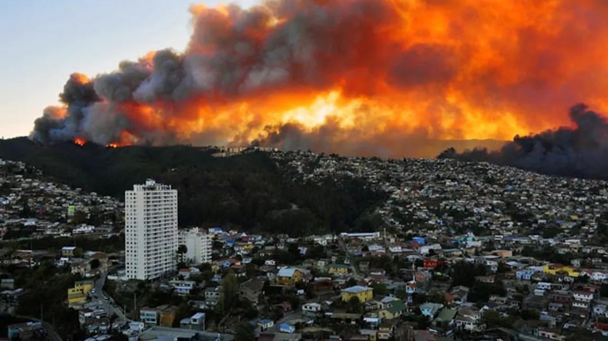 19 personas perdieron la vida en el incendio forestal de Chile: habrá toque de queda