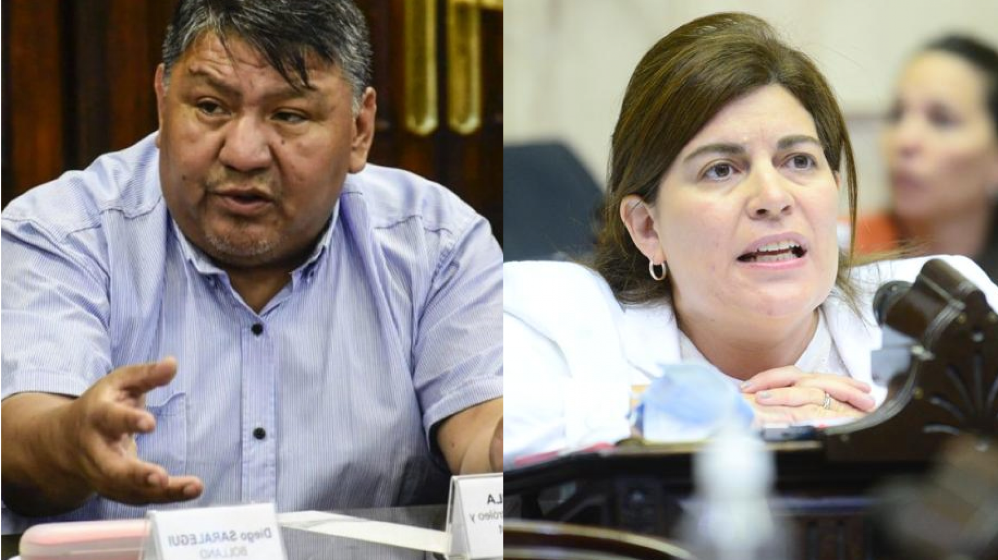 Ávila se diferencia de Juntos por el Cambio sobre la Ley ómnibus: "No fui porque no puedo votar algo que no mejora nada"