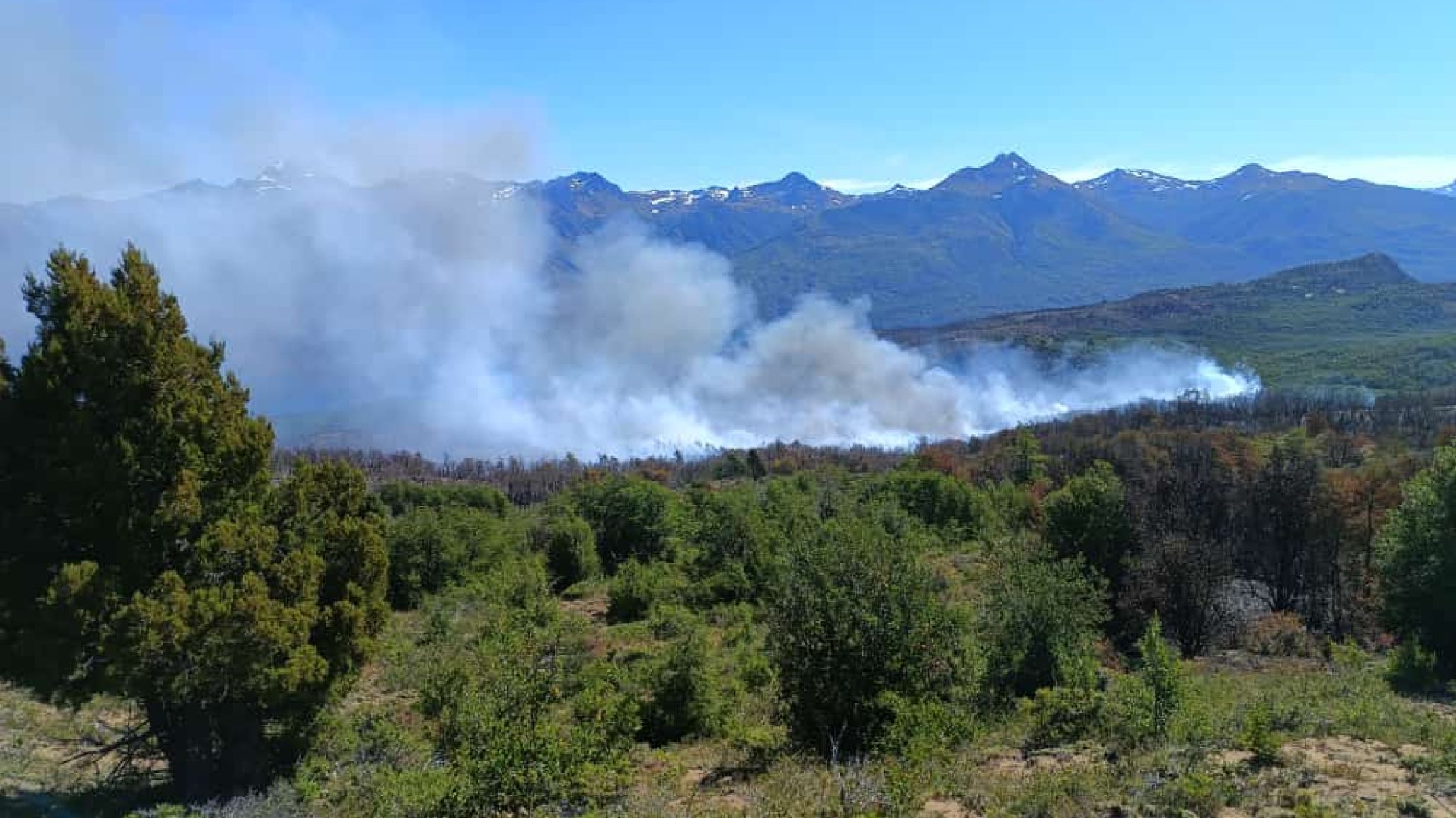 Continúa el fuego en el Parque Nacional Los Alerces