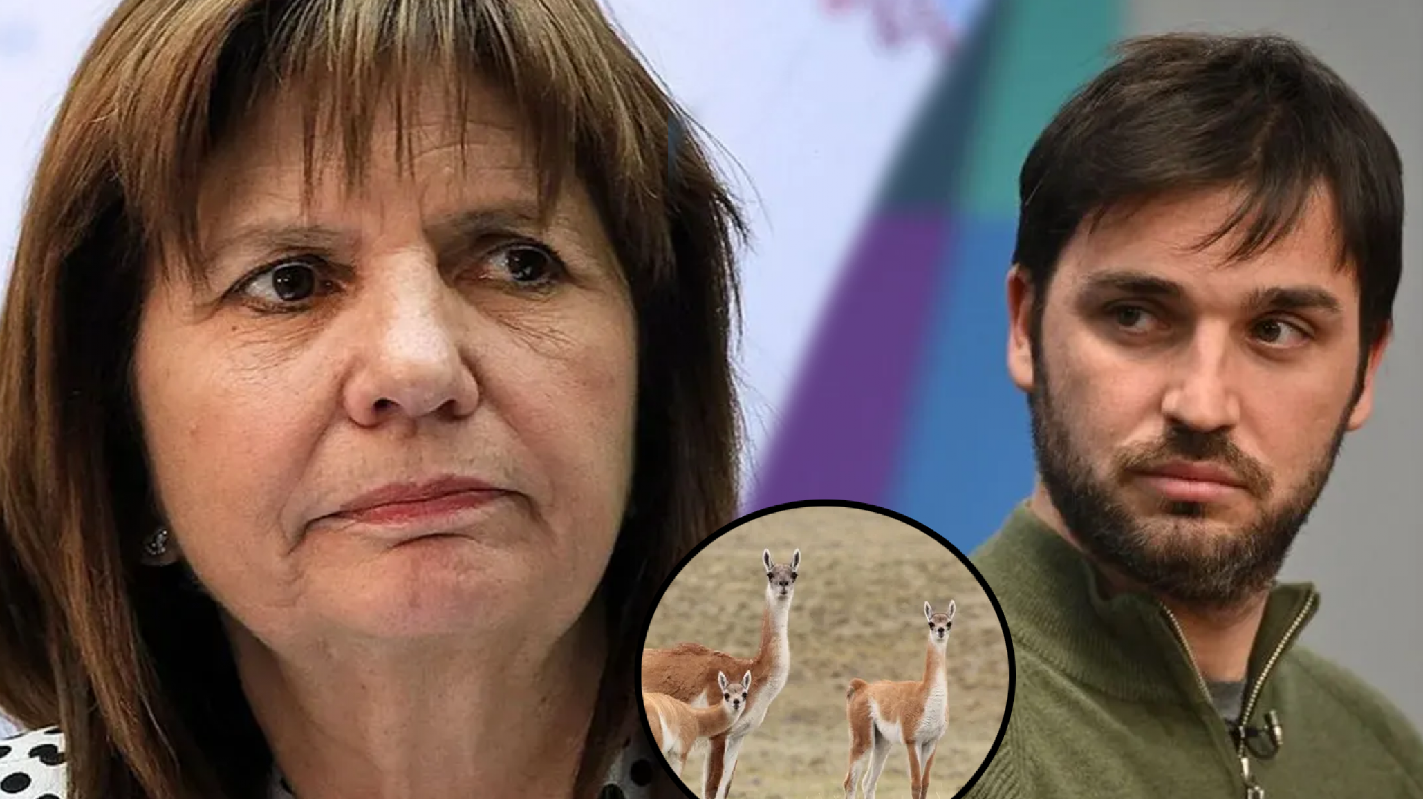 PATRICIA BULLRICH Y LOS GUANACOS