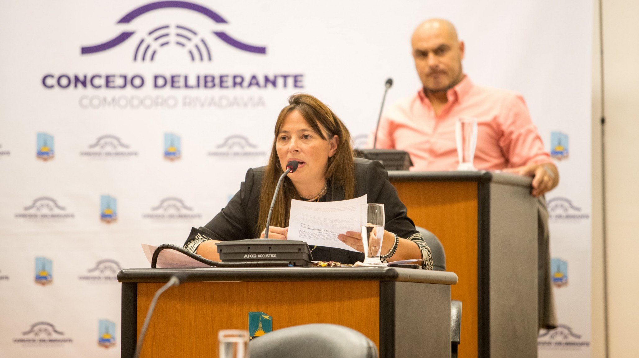 Maite Luque habló sobre el tratamiento de las modificaciones en ordenanzas de taxis y remises