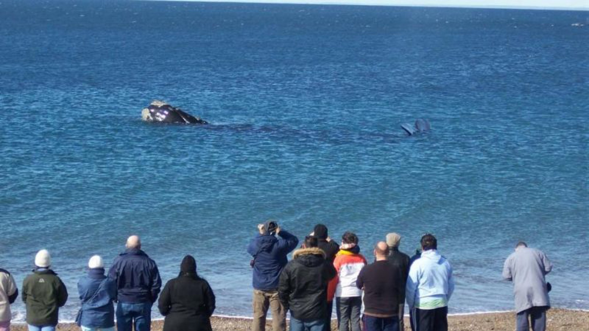 El PAMI invita a sus afiliados a inscribirse para hacer miniturismo en Puerto Madryn