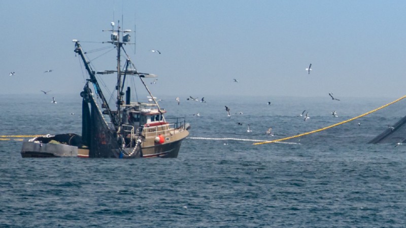 Un buque de Santa Cruz saldrá a la pesca para poder abastecer a comedores escolares