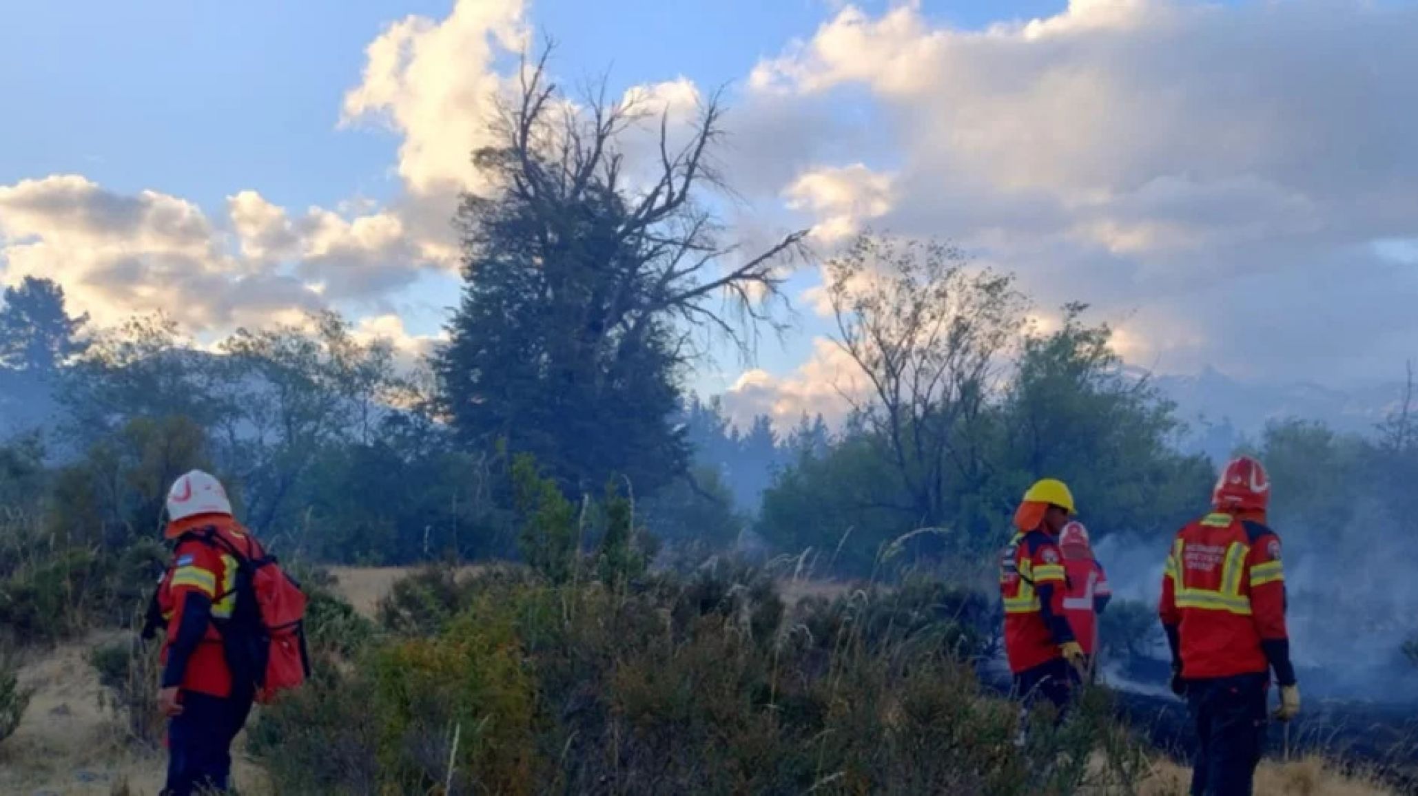 Lograron controlar el incendio forestal en Los Cipreses