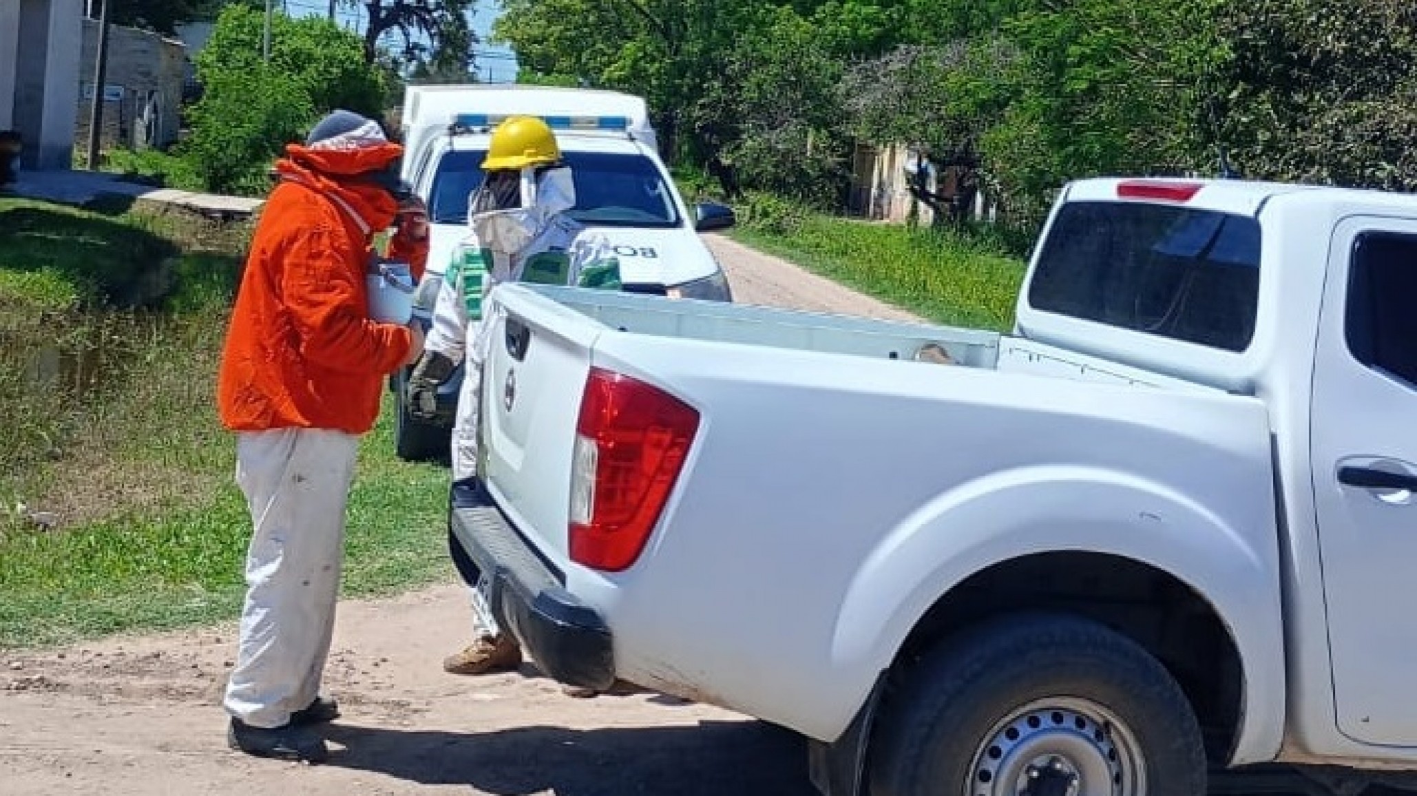 Lo chocó una camioneta, lo atacaron abejas y murió