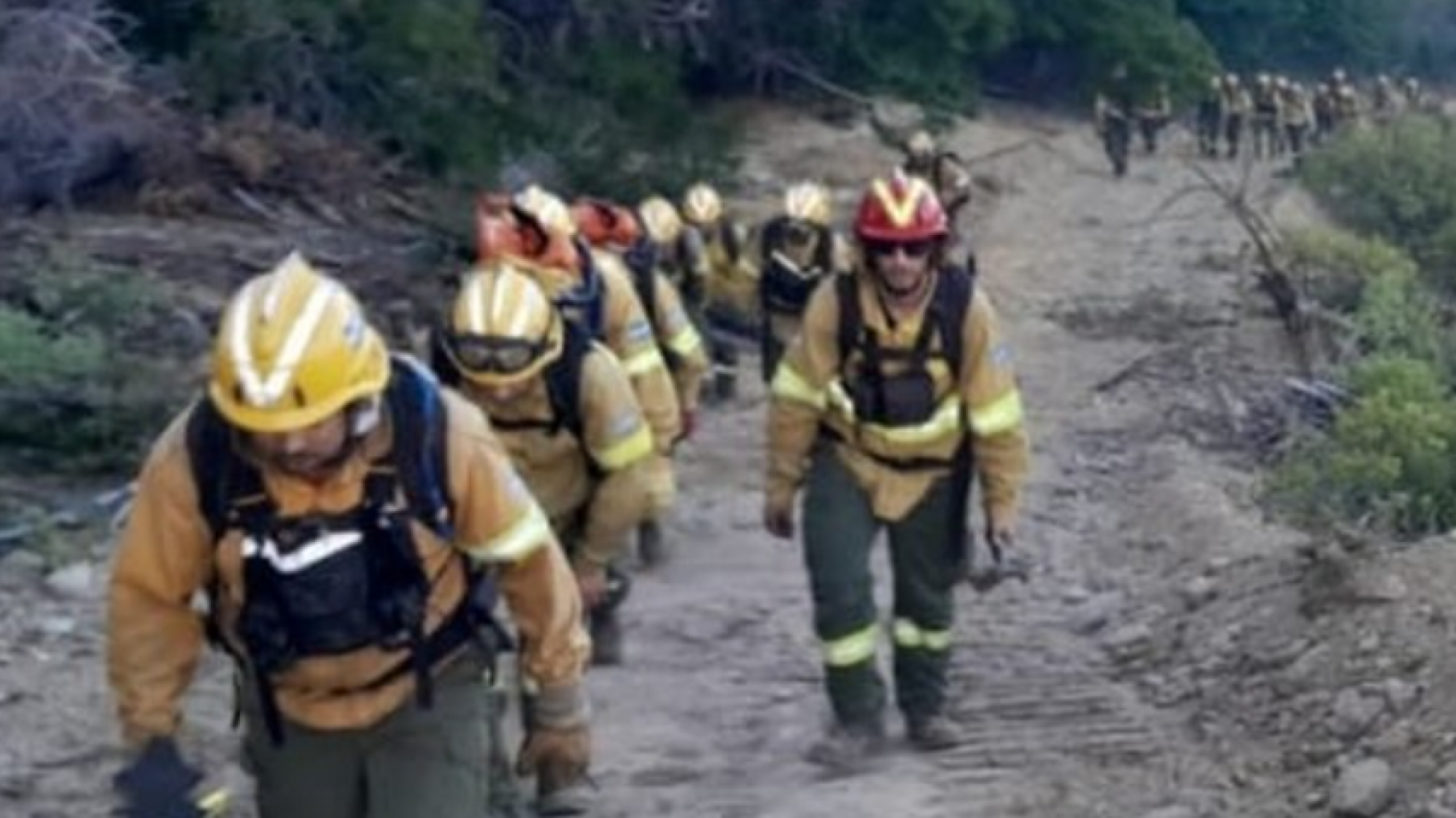 Los Alerces: el incendio está totalmente extinguido y casi 7000 hectáreas quedaron afectadas