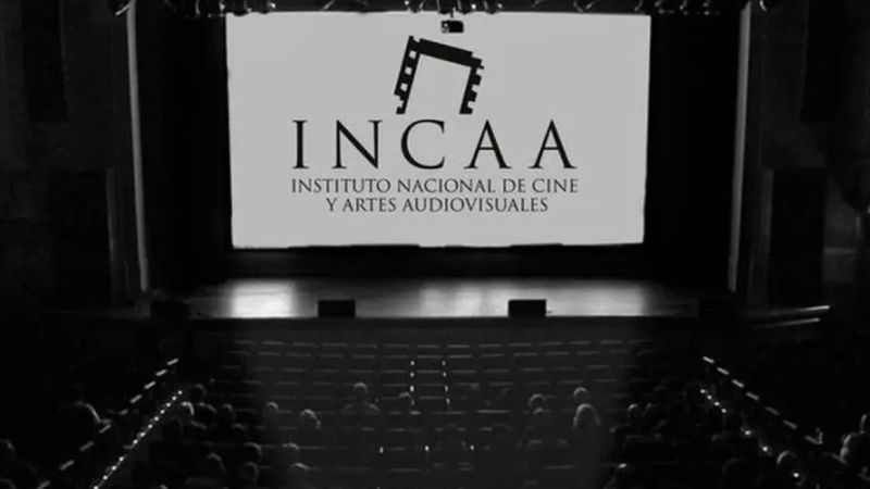 40 empleados del INCAA podrían ser despedidos