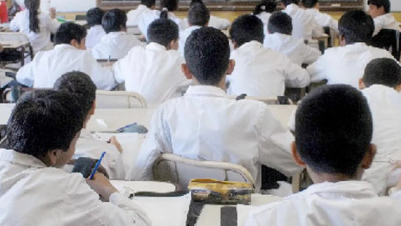 Pruebas Aprender: En Chubut, solo la mitad de los estudiantes de tercer grado comprende lo que lee