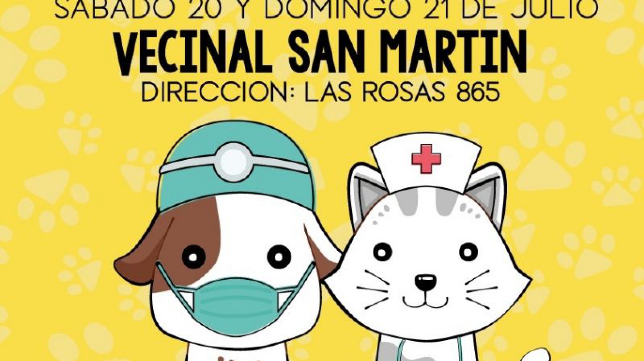 Se llevará a cabo una nueva jornada de esterilización