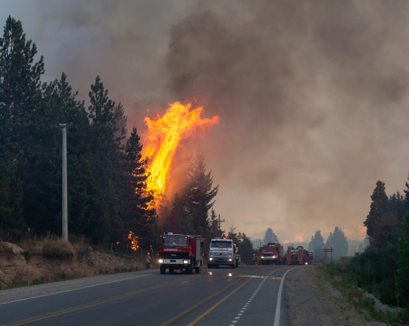 El presidente del Frente Renovador de Río Negro, sobre los incendios en la Comarca Andina: "El gobierno nacional ni apareció"