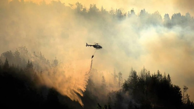 "Identificamos a los sospechosos, pero se dieron a la fuga": preocupación por los incendios en El Bolsón