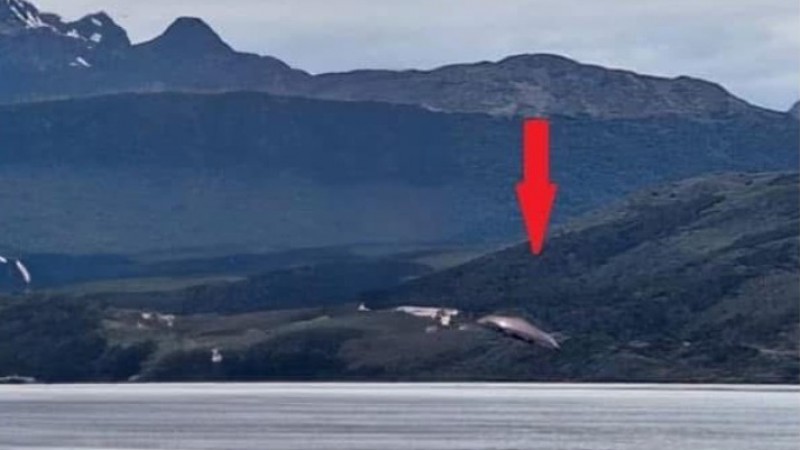 ¿Turistas o testigos de otro mundo? Extraños objetos sobre el Canal Beagle desataron teorías de OVNIS en Ushuaia