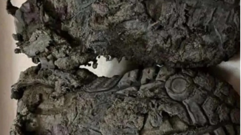 "Nos ponemos en los zapatos del otro": Marcha y colecta solidaria para brigadistas en la cordillera