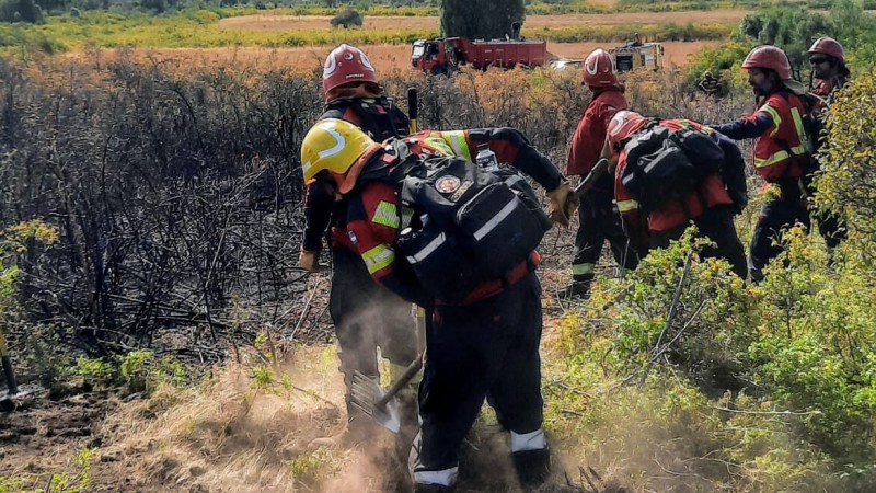 Controlaron el incendio forestal en Los Cipreses