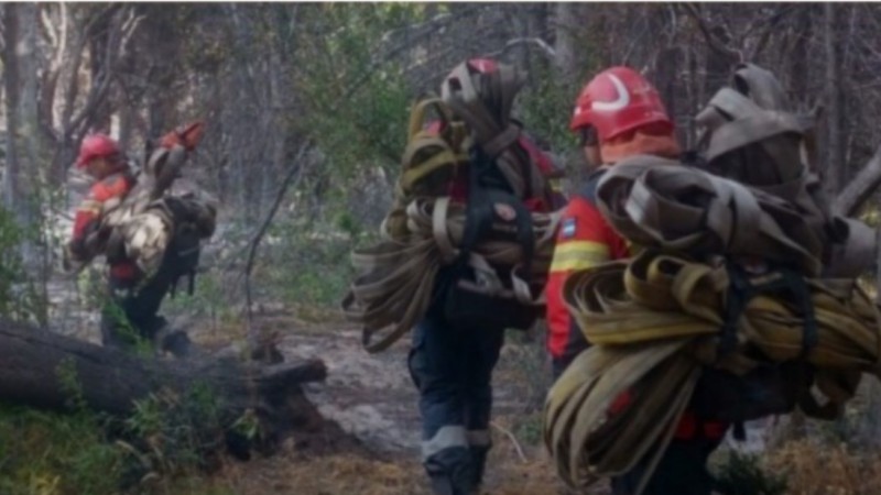 Incendio en Parque Los Alerces: "El viento complica todo el tiempo", ya se han consumido unas 300 hectáreas