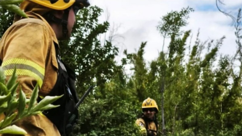 El intendente de Los Alerces destacó que la lluvia ayudó a controlar el incendio