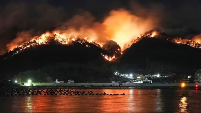Japón enfrenta el peor incendio forestal en 50 años: un muerto y más de 4000 evacuados