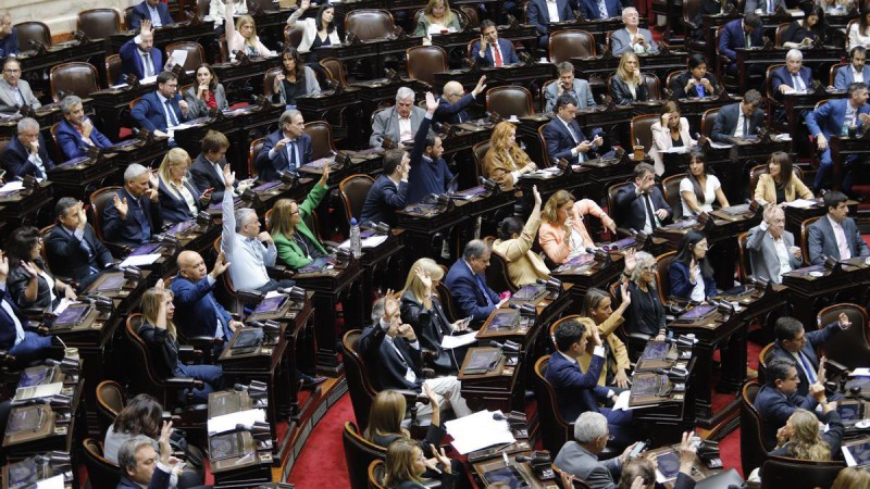 Escándalo en Diputados: empujones y golpes entre Zago y Almirón