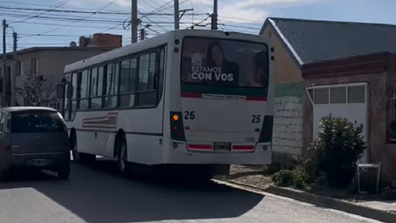 Acusan a un chofer de colectivo de atropellar y matar a un perro en Km. 5