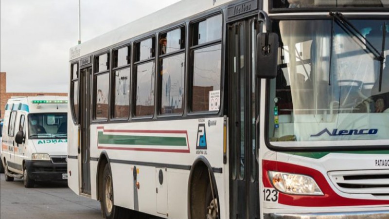 Transporte público en Comodoro: actualización del servicio de colectivos