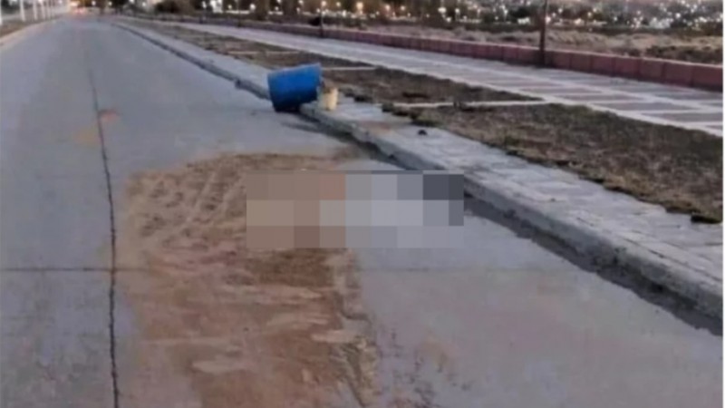 Un hombre murió al caer de la caja de una camioneta en plena Costanera