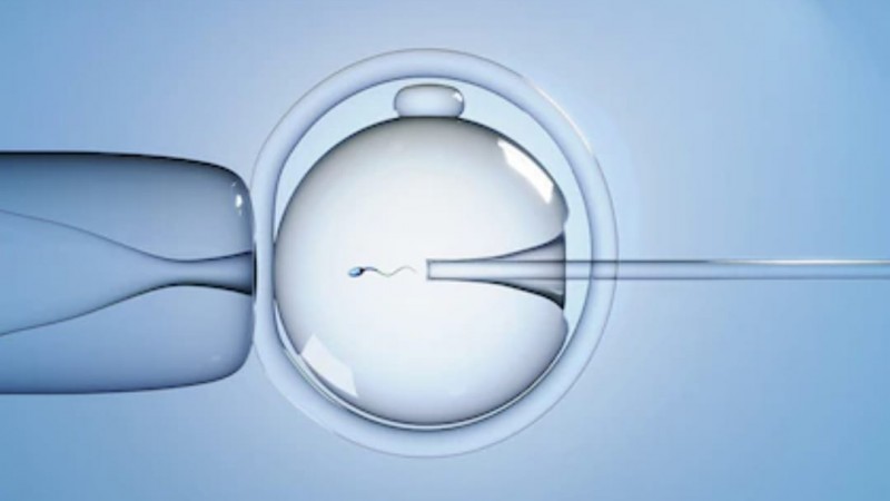 Nació el primer bebé concebido por fertilización in vitro controlada por inteligencia artificial