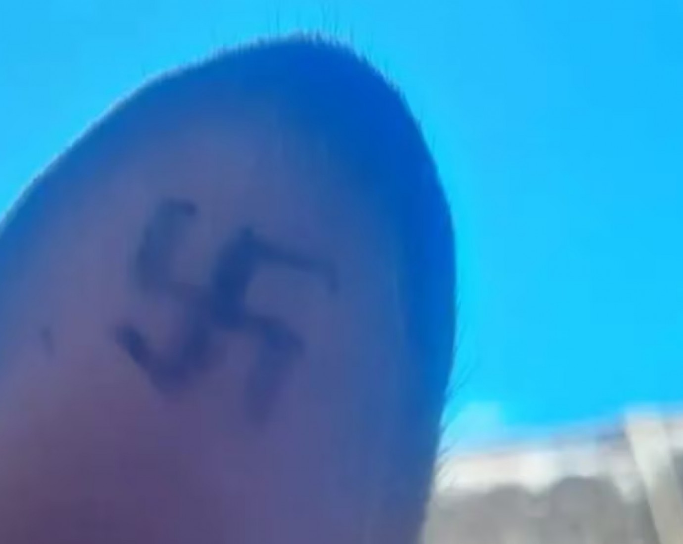 Encontraron animales callejeros con esvásticas tatuadas en las orejas en Río Negro