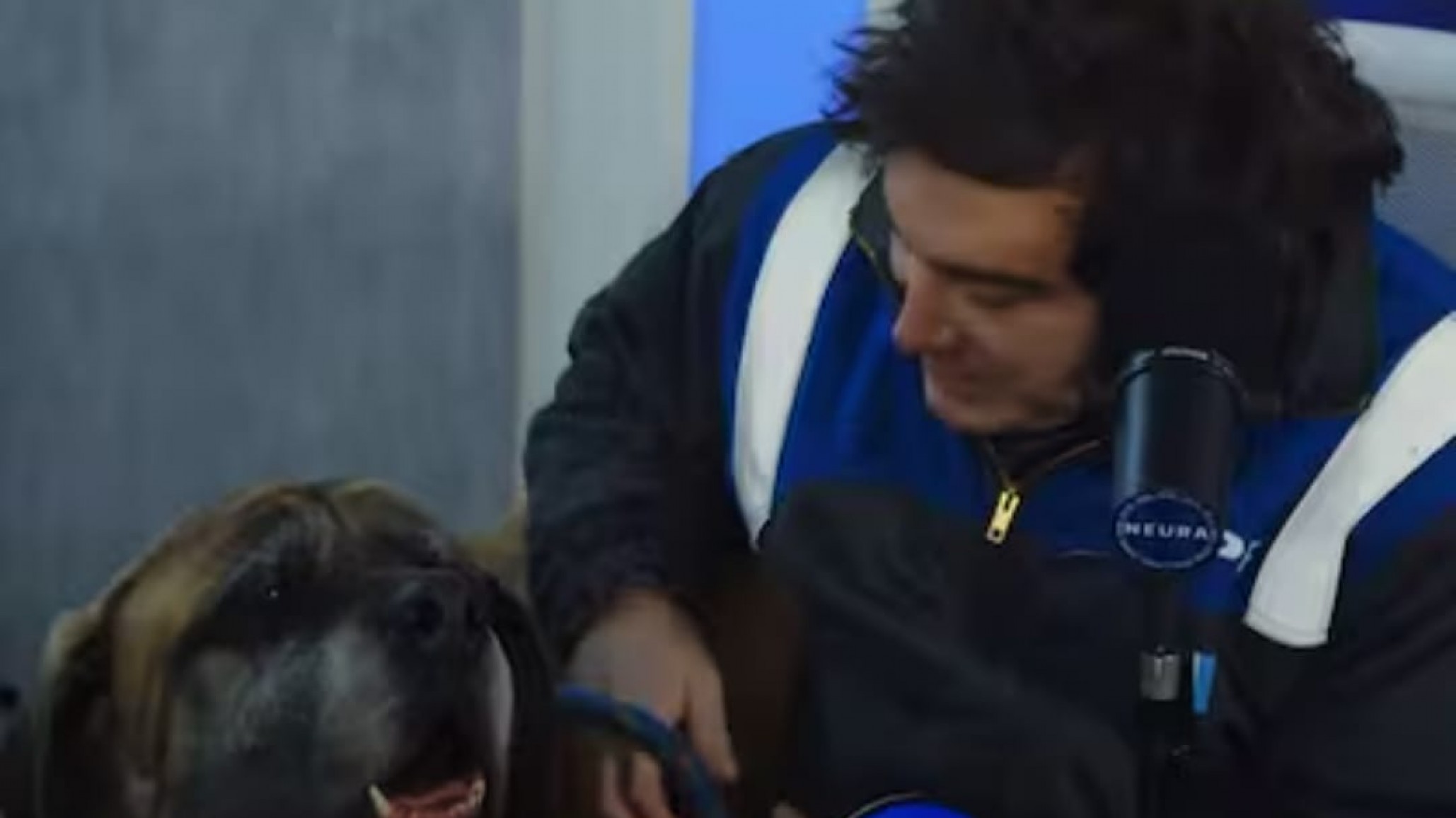 Milei llevó a su perro Conan a una entrevista: "Es uno de los cinco" y anunció una donación para refugios