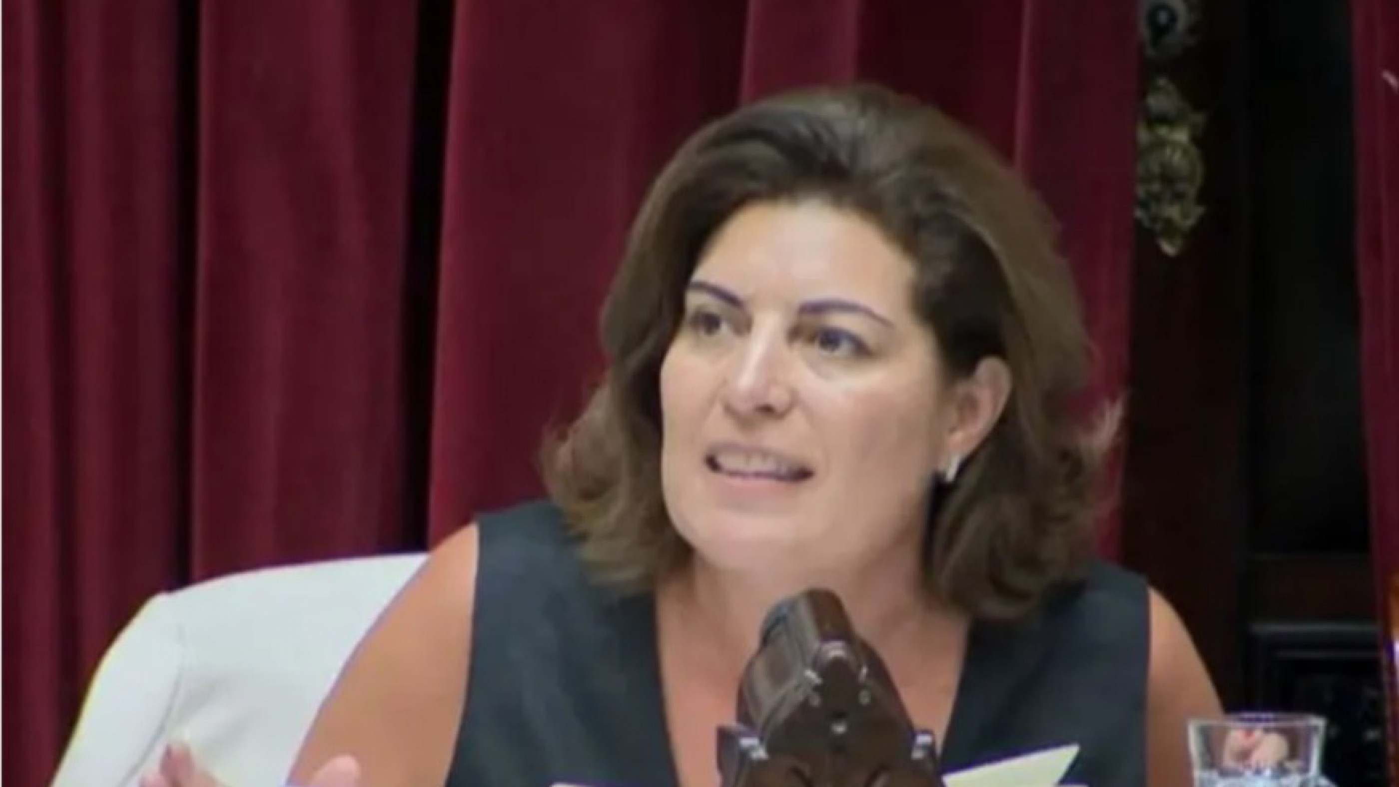 Ni siquiera votándole todo a Milei, Ana Clara Romero logró que se trate su proyecto para la cuenca del Golfo San Jorge