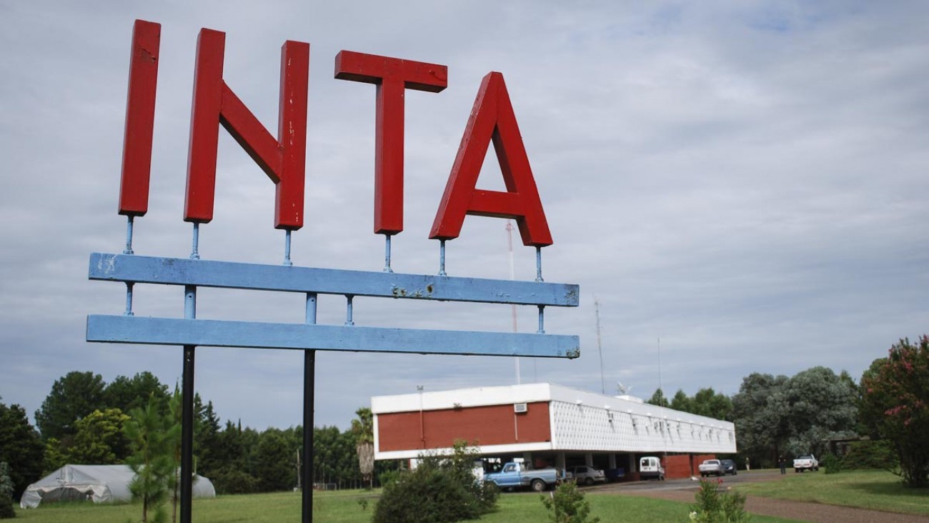 "Después de tanto tiempo de lucha empezamos a ver frutos": El INTA, a la espera de la definición del Senado sobre el DNU