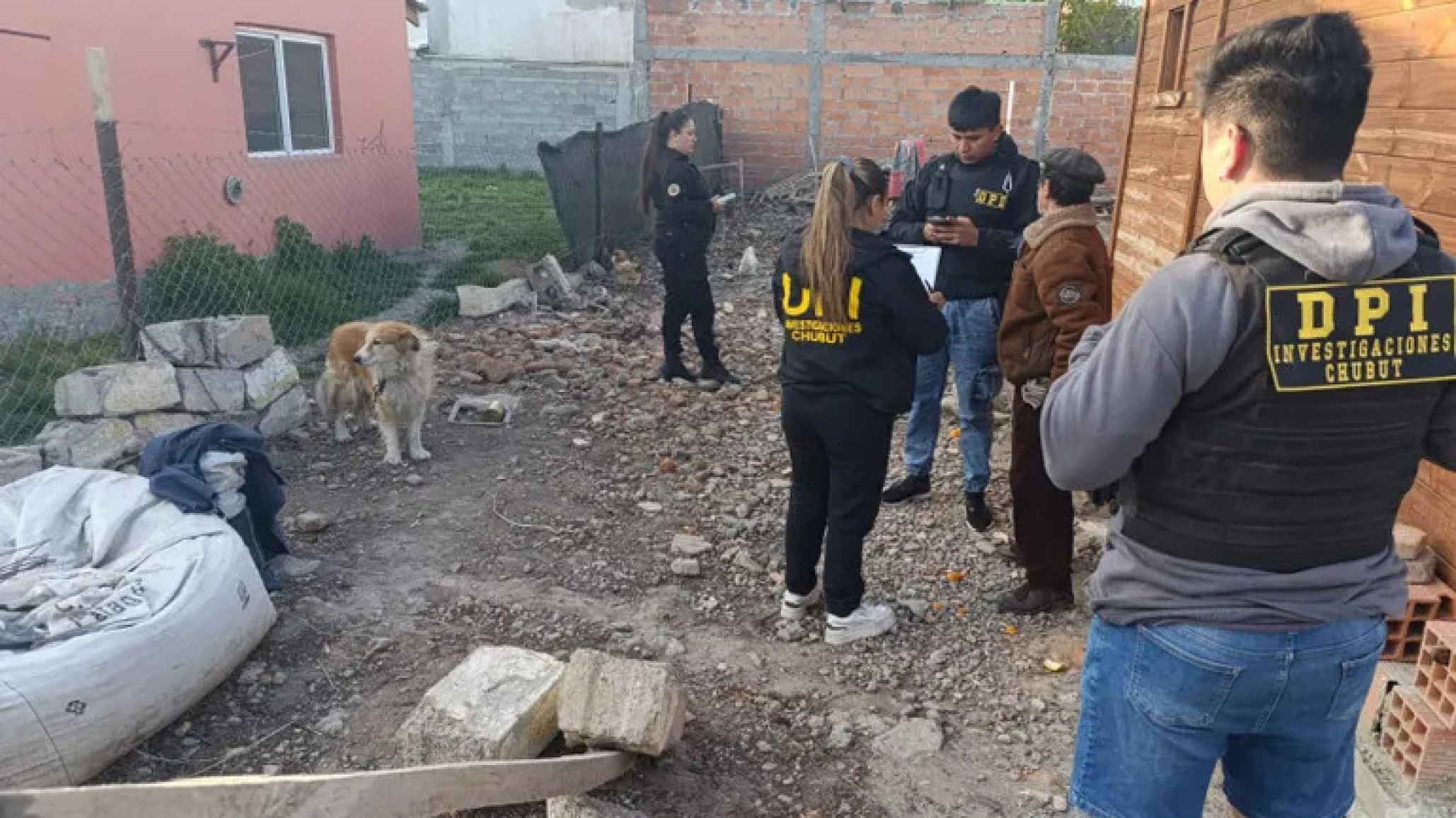 Allanaron una casa en Sarmiento y rescataron a un perro maltratado