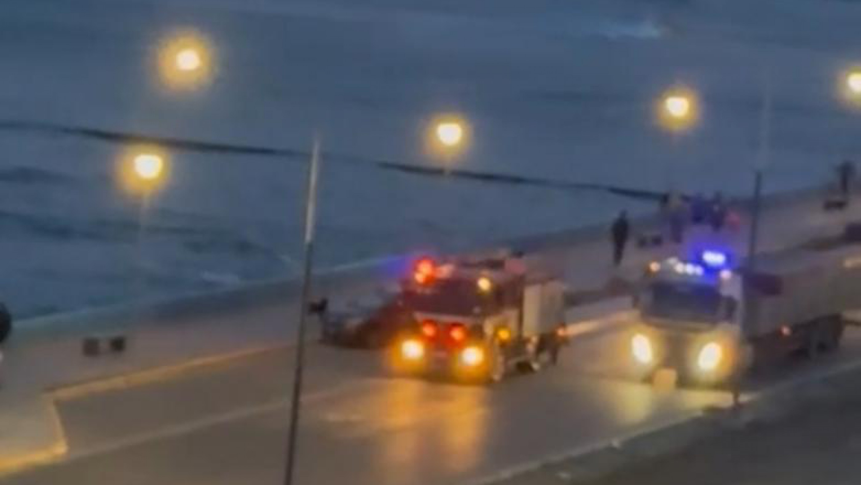 Los bomberos rescataron a un perro atrapado por la marea en el paseo costero