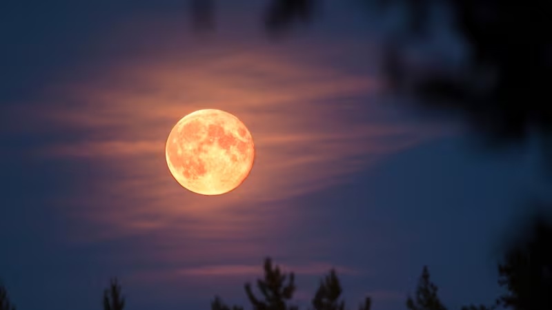 La Superluna de noviembre brilla en su máximo esplendor este 5 de noviembre