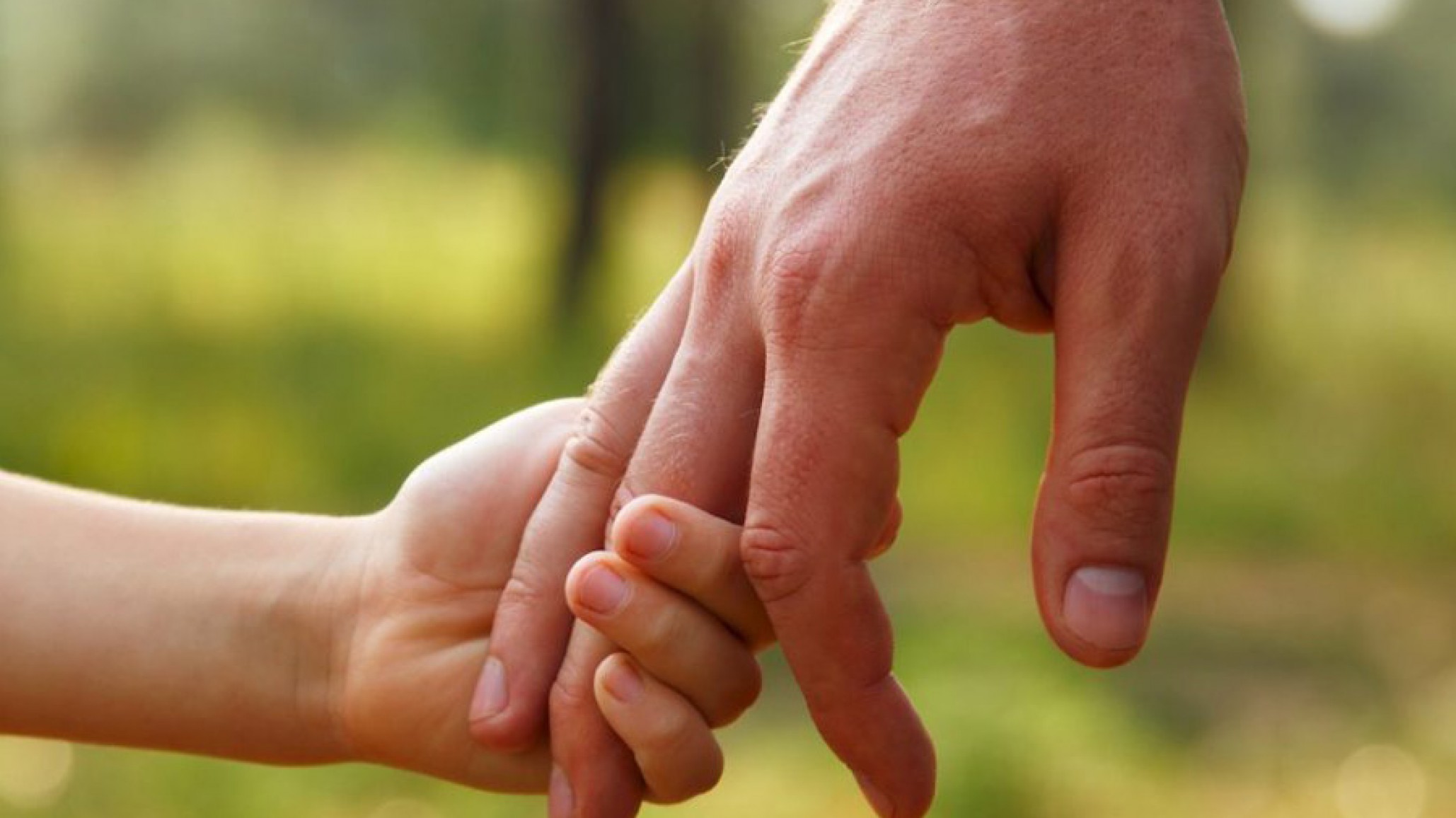 Chubut lidera las adopciones en la Patagonia y Comodoro tuvo un año récord de casos resueltos