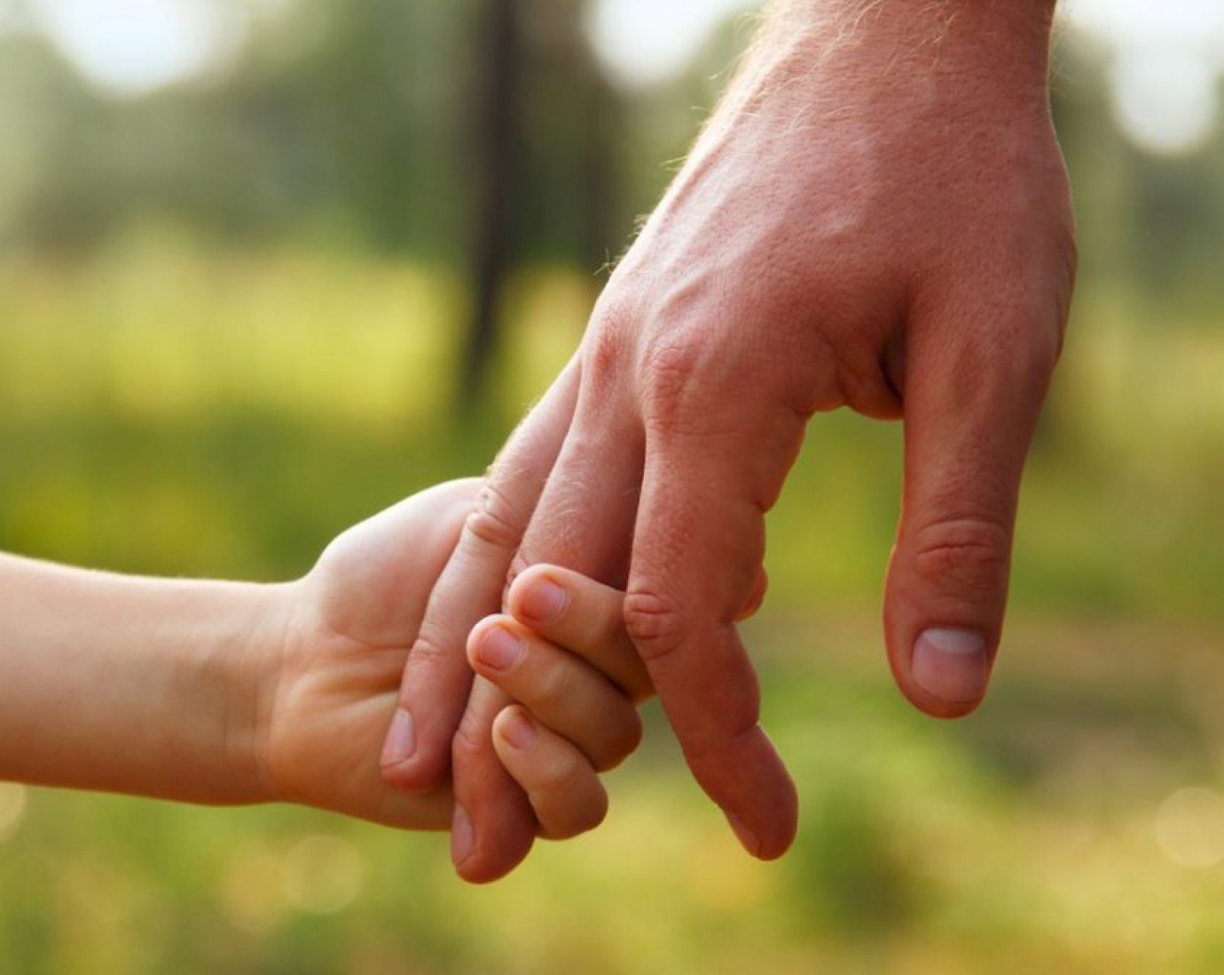 Chubut lidera las adopciones en la Patagonia y Comodoro tuvo un año récord de casos resueltos