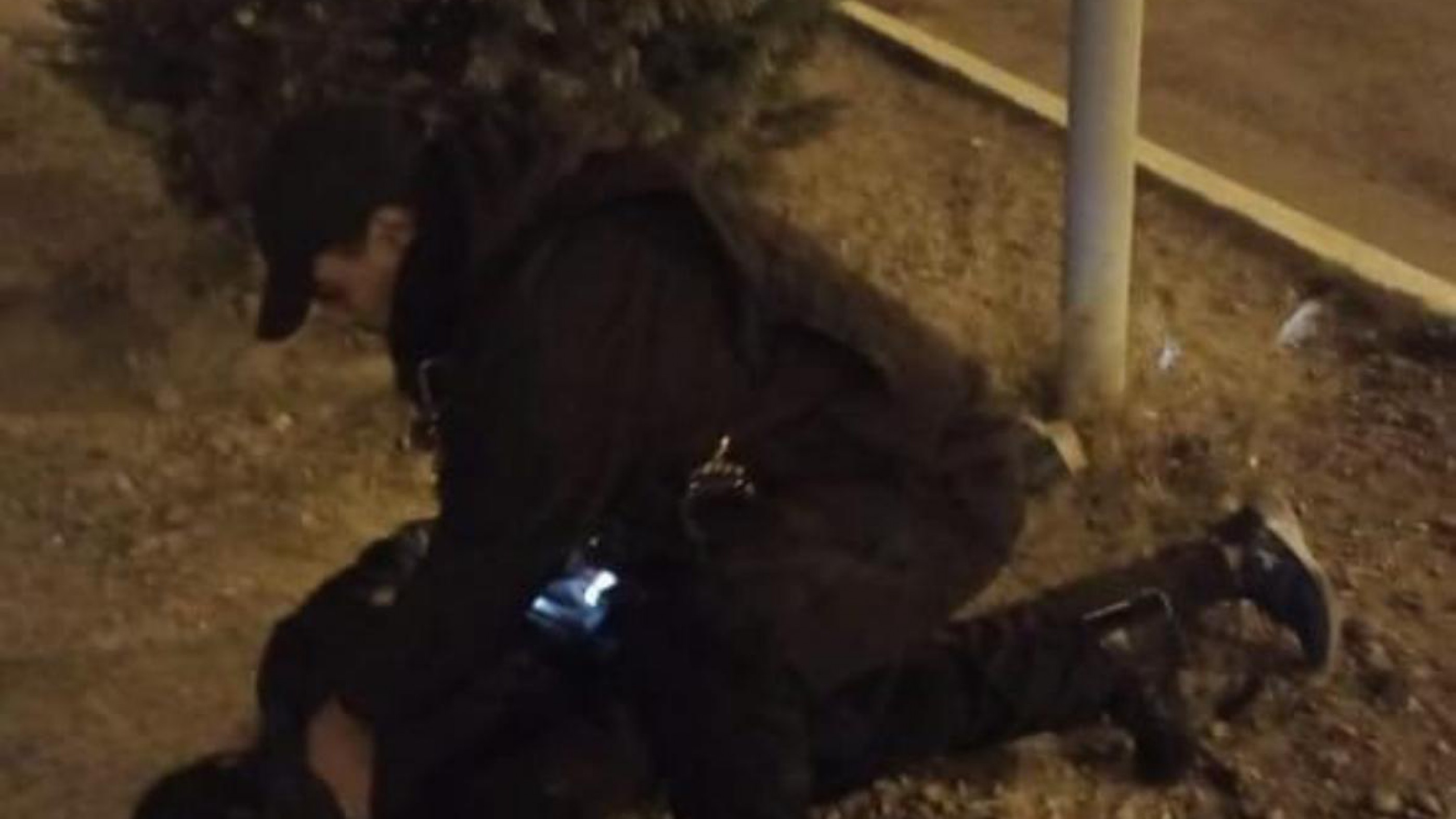 Un hombre fue sorprendido cuando intentaba robar en un auto: terminó detenido