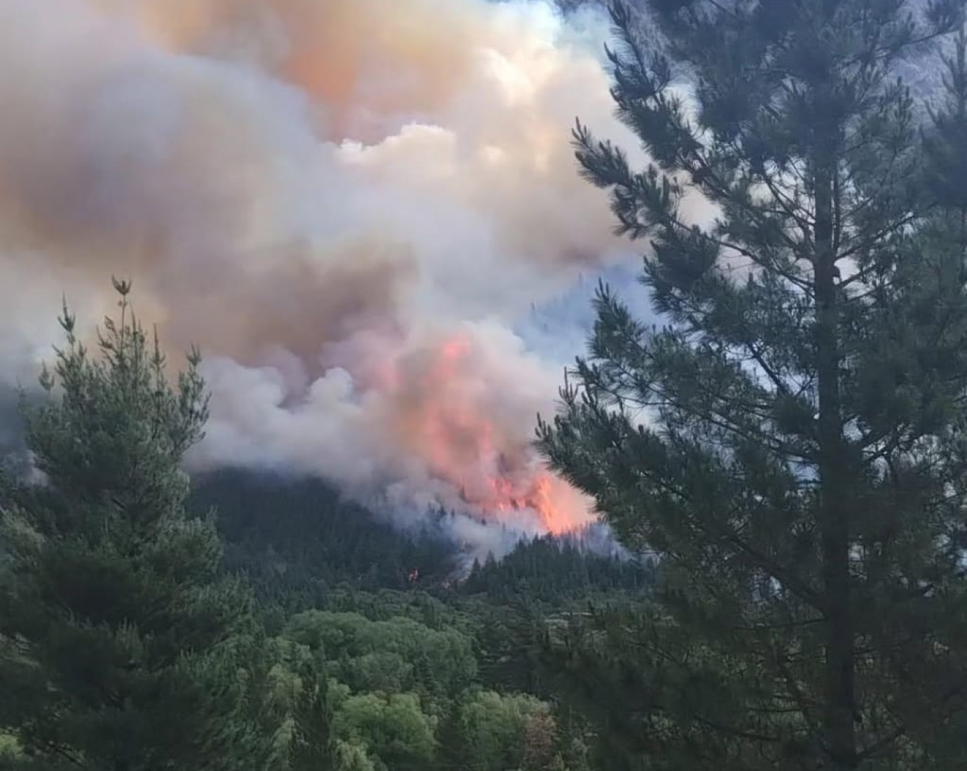 Incendio activo en Epuyén: brigadas y bomberos combaten un foco en zona de bosque