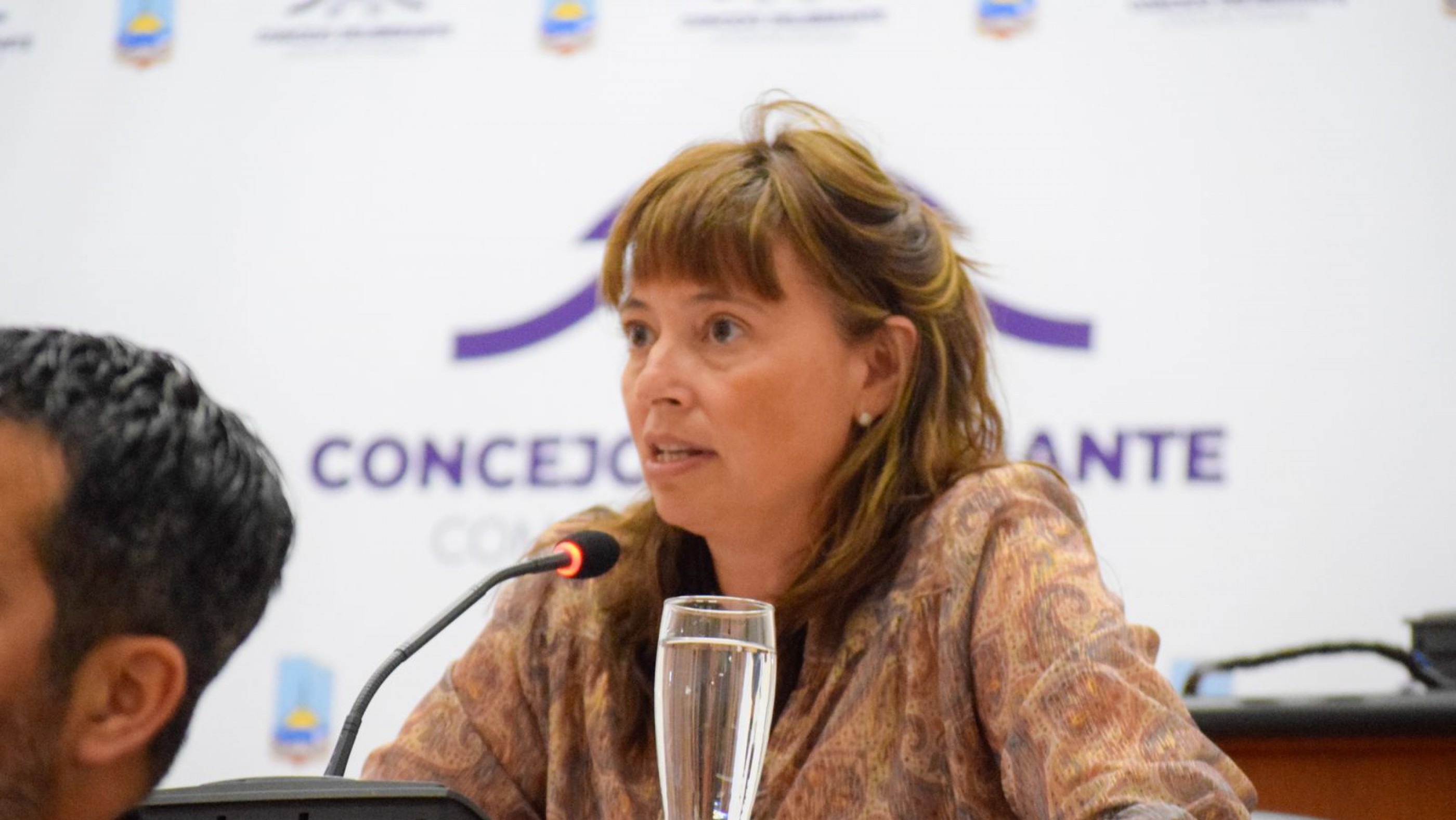 Se aprobó una ordenanza que destina un fondo dentro del Presupuesto Municipal para proyectos de diversificación productiva