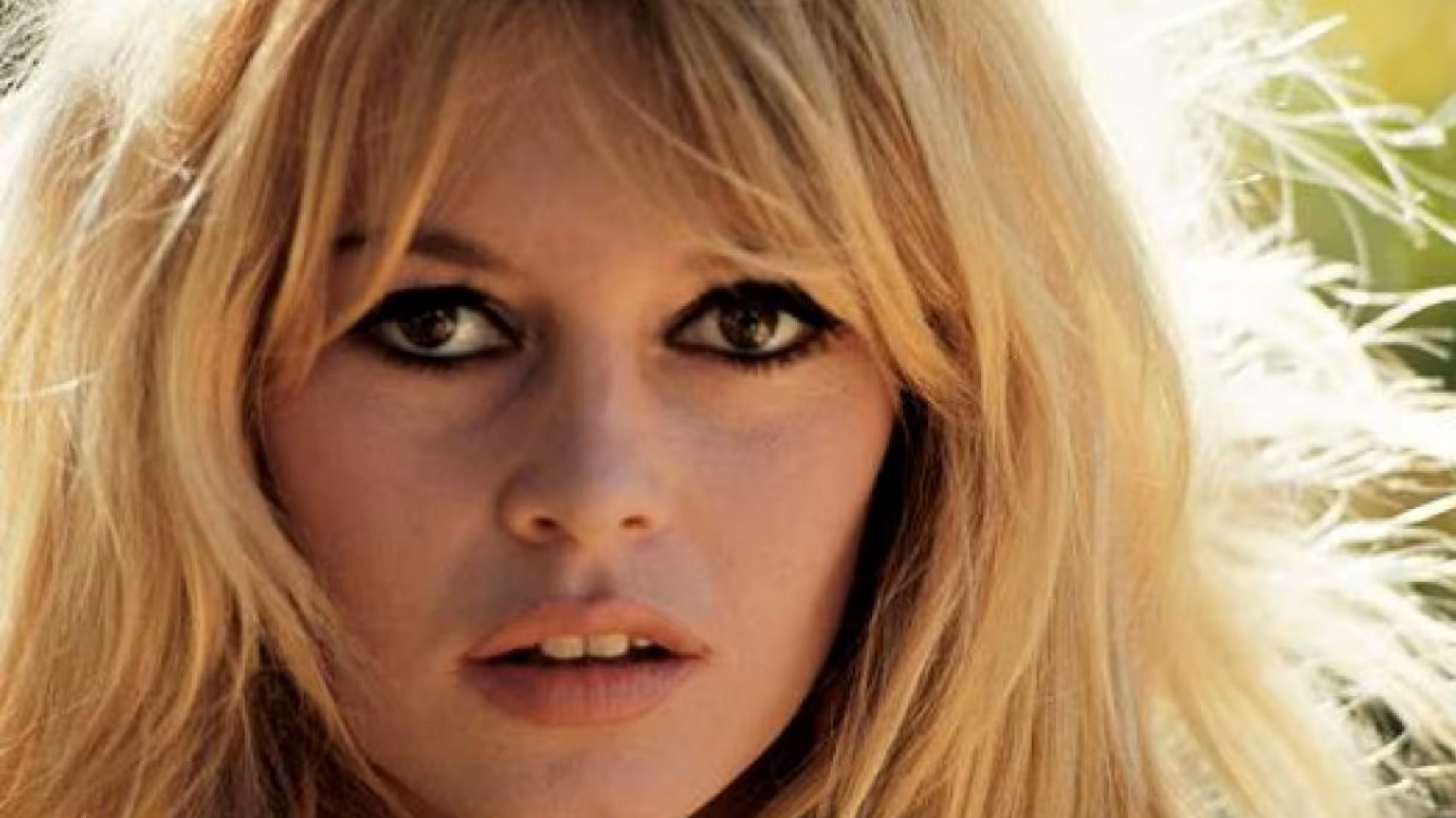 Murió la actriz francesa Brigitte Bardot a los 91 años