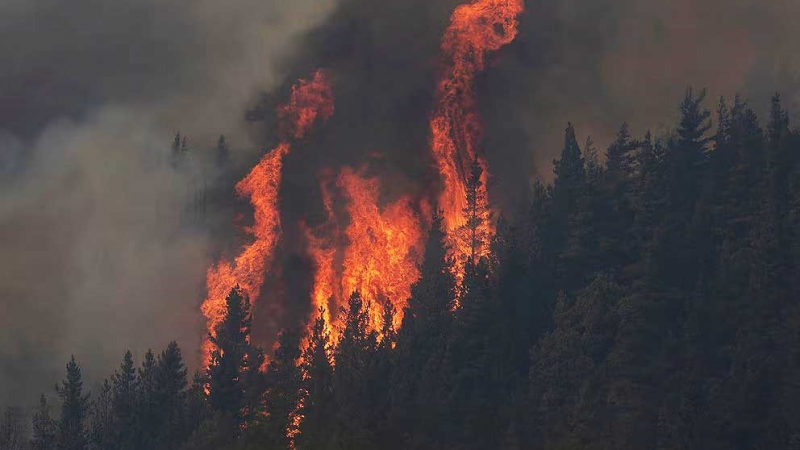 Más de 170 personas combaten sin descanso el incendio en el Parque Nacional Los Alerces