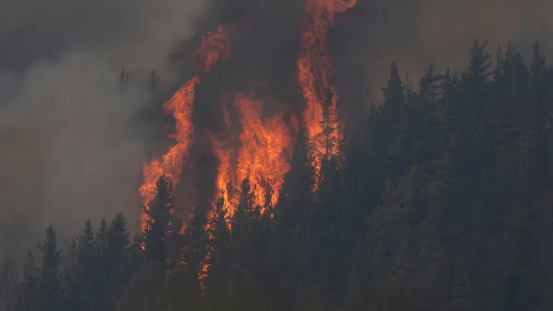 Alerta amarilla para la cordillera: advierten que las altas temperaturas agravan el riesgo de incendios