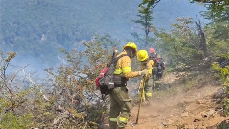 Continúa el combate del incendio en el Parque Nacional Los Alerces, según el reporte oficial del 5 de febrero