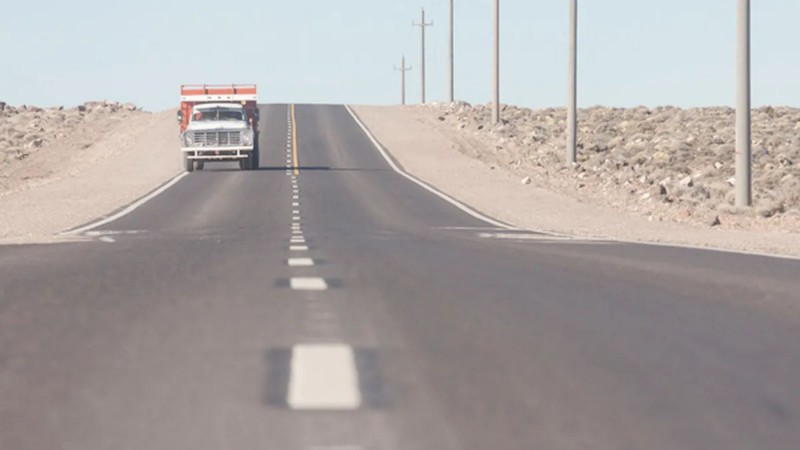 Impacto vial en Neuquén: turistas chilenos atropellaron y mataron a un caballo en Zapala
