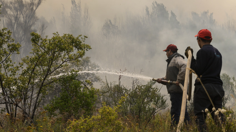 Incendio en el Parque Nacional Los Alerces: realizan el segundo recambio masivo de brigadistas que combaten el fuego
