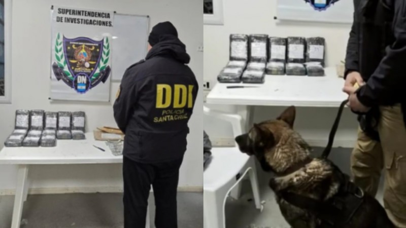 Condenan a cinco años de prisión a un camionero de Comodoro que transportaba 14 kilos de cocaína
