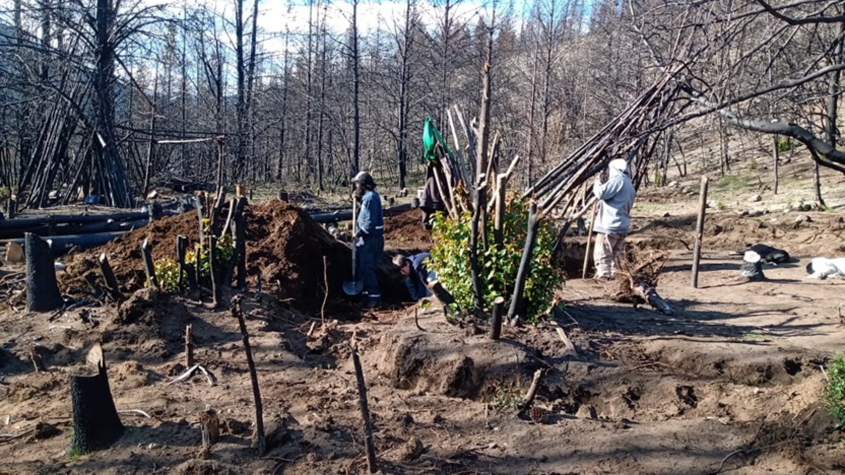 "Reconstruyendo Epuyén": lanzan una convocatoria desesperada de voluntarios tras los incendios