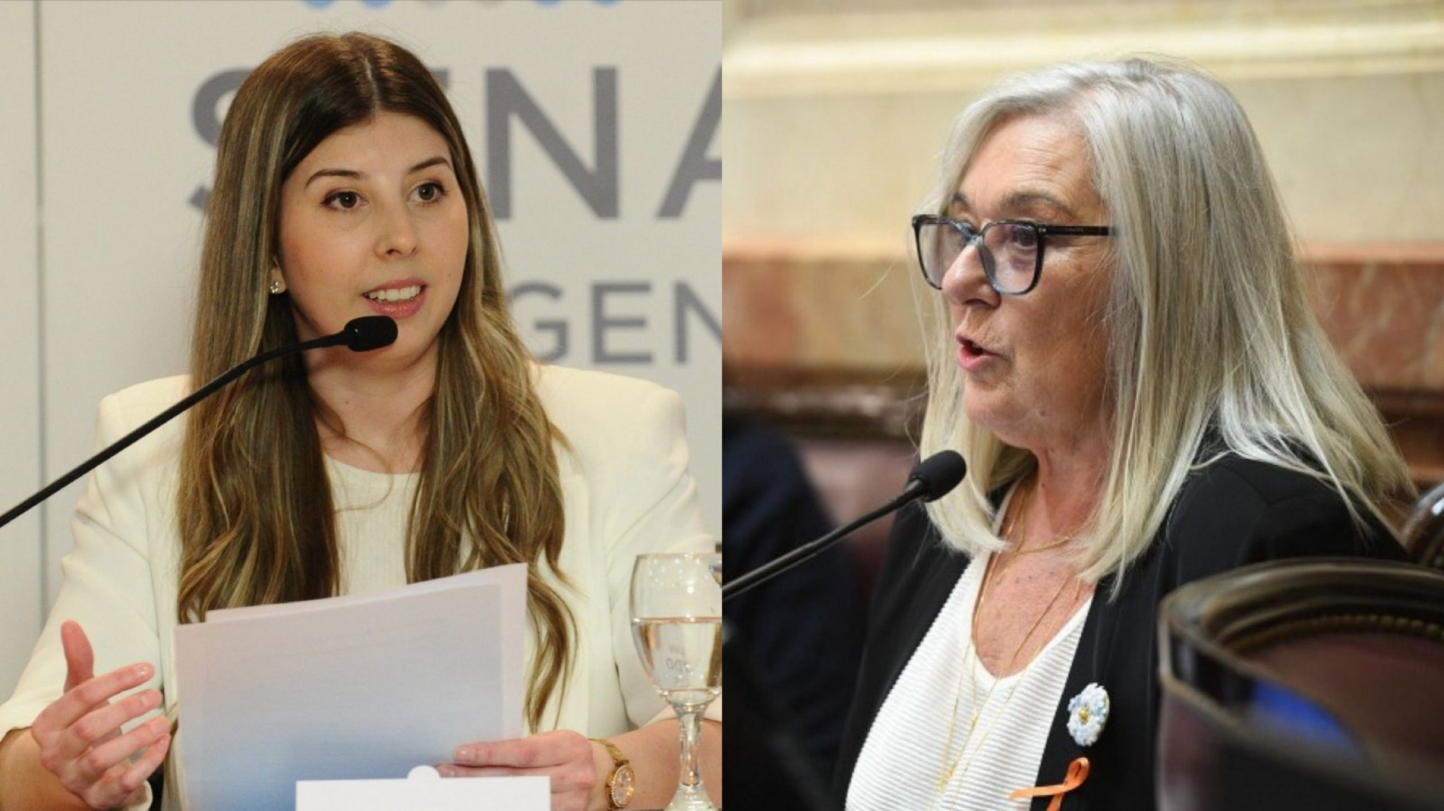 Una "modernización" que atrasa y elimina derechos