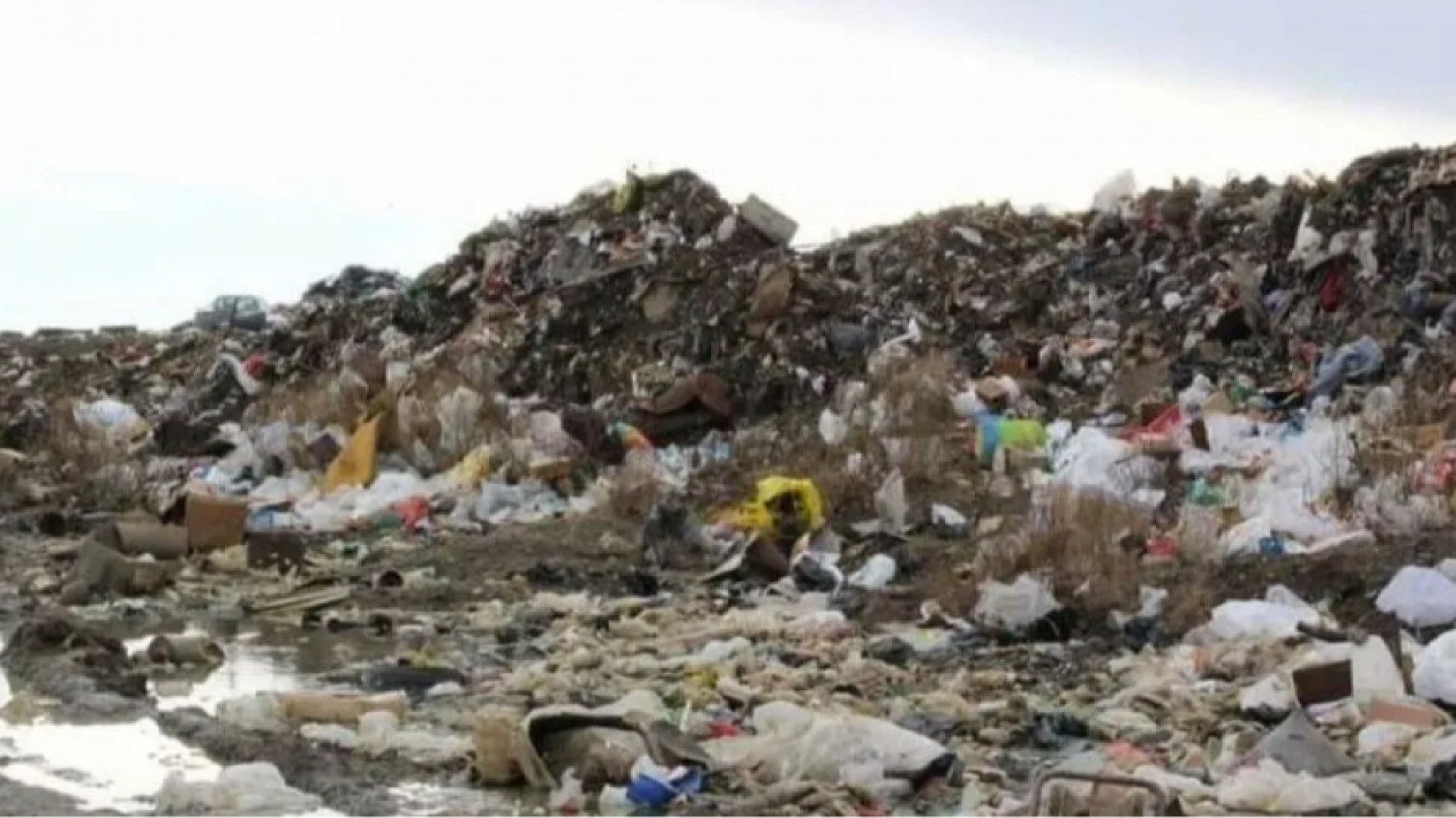 Conmoción en Caleta Olivia: una joven murió tras presunta intoxicación por alimentos del basural y su madre y hermanos están en estado crítico